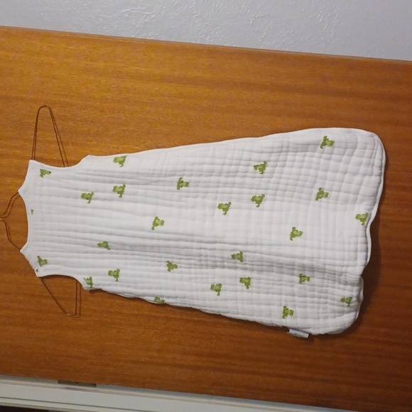 Aden + Anais Frog Sleep Sack - Picture 6 of 6